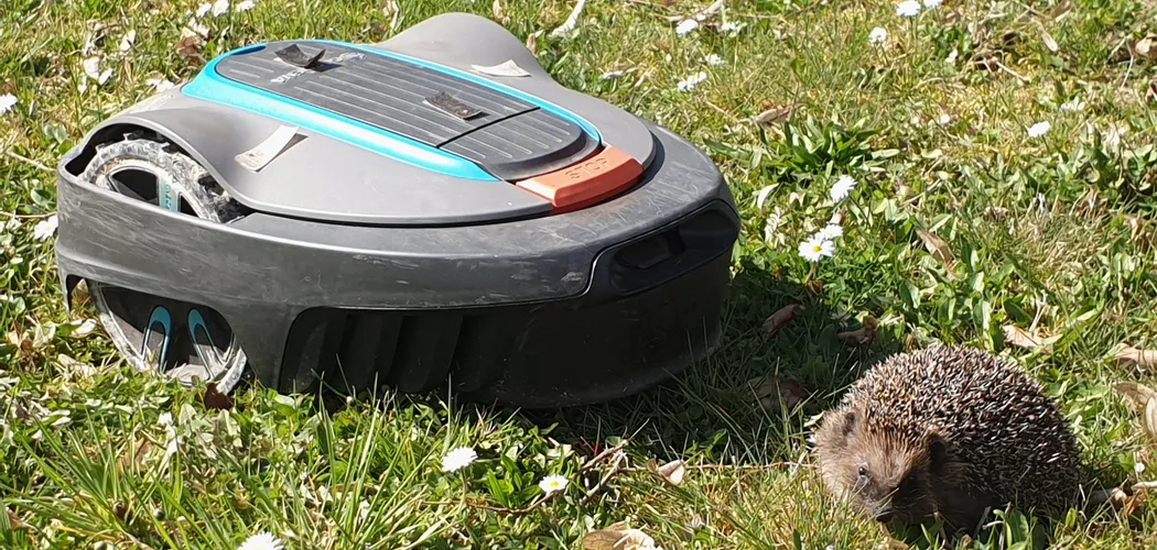 Igel-gegen-Maehroboter_Foto_Uwe-Steib_gr